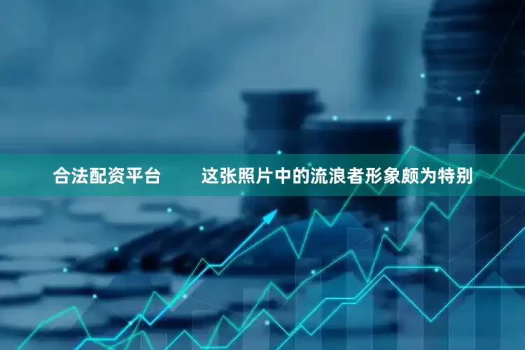 合法配资平台        这张照片中的流浪者形象颇为特别