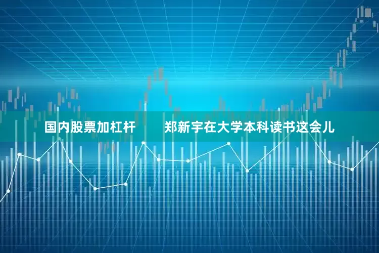 国内股票加杠杆        郑新宇在大学本科读书这会儿