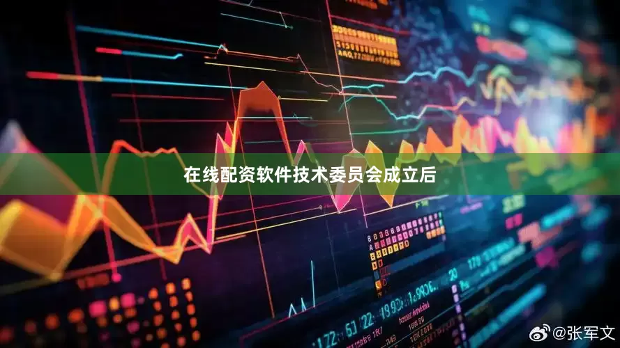 在线配资软件　　技术委员会成立后
